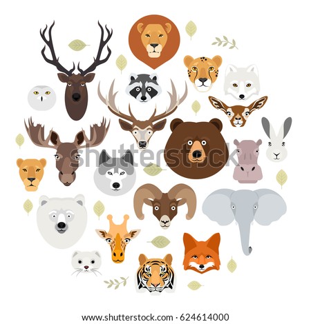 Big animal face icon set. Cartoon heads of fox, rhino, bear, raccoon, hare, lion, owl, rabbit, wolf, hippo, elephant, tiger, giraffe, moose, deer, elk, sheep, ram, ermine