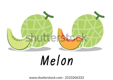 Melon fruit and Melon slice on background. EPS10, Vector icon