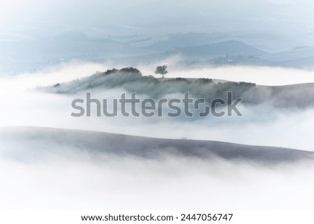 Similar – Image, Stock Photo A lone tree on the hillside survived the last storm