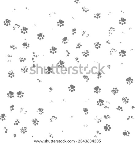dog footprints on a white floor
