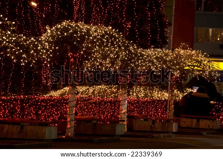Trees in a plaza adorned with holiday lights