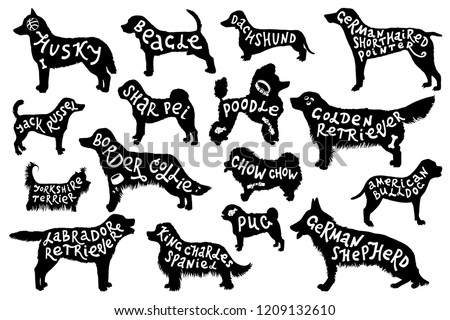 16 Silhouettes