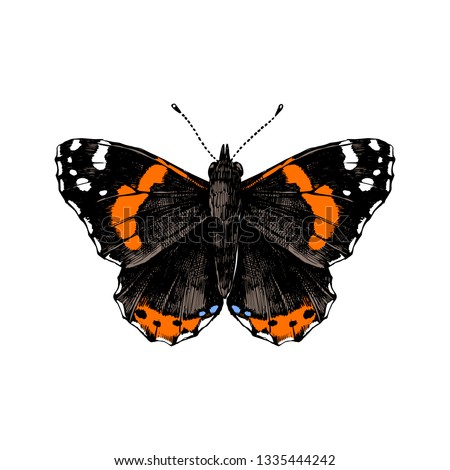 Colorful hand drawn red admiral butterfly. Vector illustration