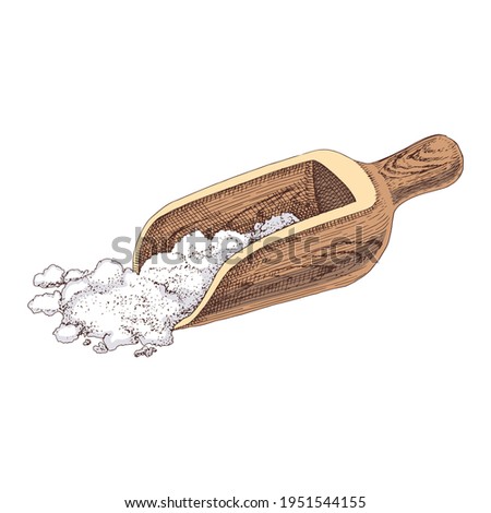 Wooden spoon with sea salt
