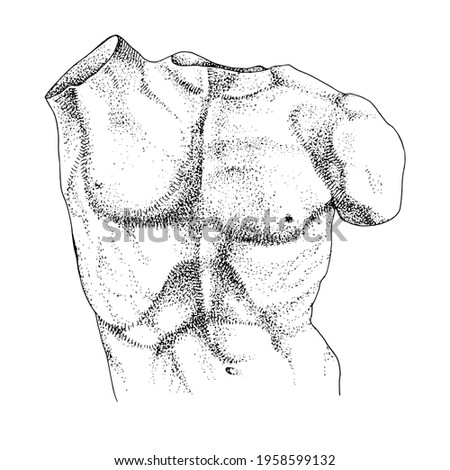 Laocoon torso, hand drawn illustration