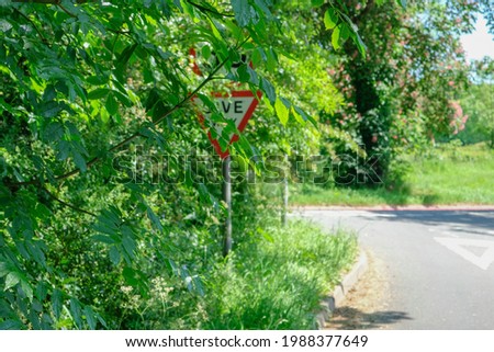 Similar – Image, Stock Photo Hidden road in the forest in spring