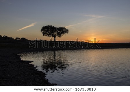 Beautiful sunset with a tree a lake and the tree reflection