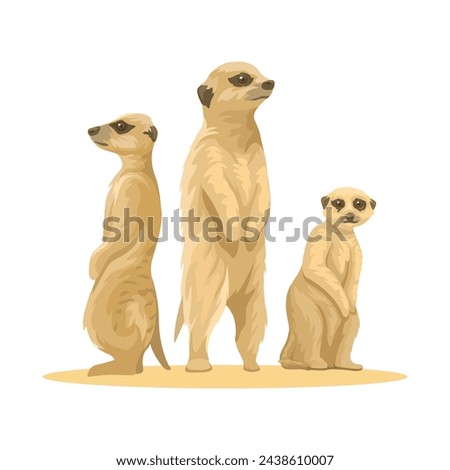 Meerkat Is A Small African Mongoose Animal Species Illustration Vector