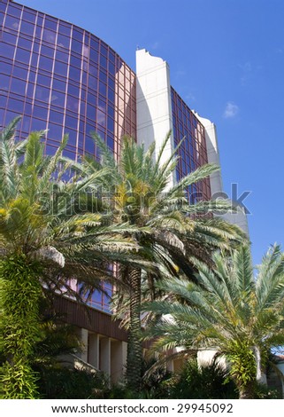 Modern office building with palm trees and blue sky
