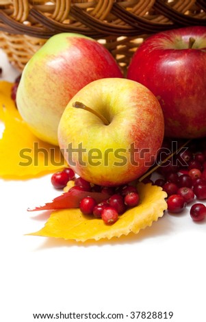 three apples and cranberries on the fallen leaves