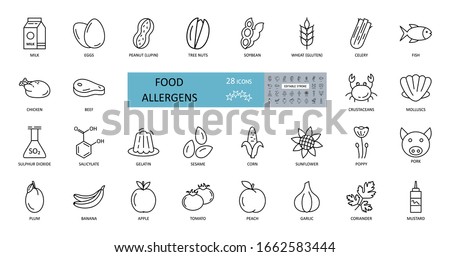 Food allergens icon. Vector set of 28 icons with editable stroke. The collection contains most allergenic products, such as gluten, fish, eggs, shellfish, peanuts, lupine, soy, celery, milk, tree nuts Foto stock © 
