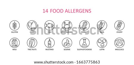 14 round food allergens icon. Vector set of 14 icons. Collection includes gluten, fish, egg, crustacean, peanut, lupin, soya, milk, trees nuts, mustard, sesame, sulphur dioxide. Foto stock © 