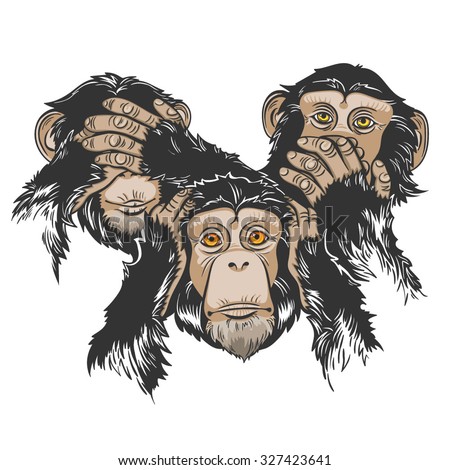 Vector Color Three Monkey Illustration