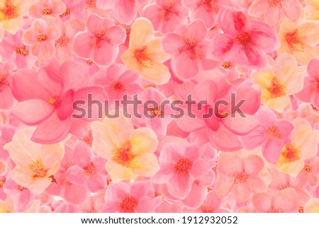 Similar – Image, Stock Photo Orange and Pink flowers in garden