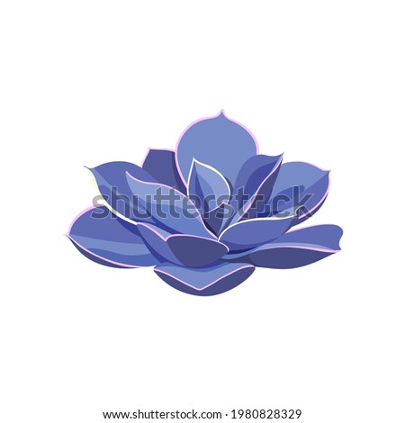 Succulent Echeveria Perle von Nurnberg, house plant. Draw room flower colorful in cartoon style. Logo and icon for print and design. Vector illustration, isolated purple element on a white background.