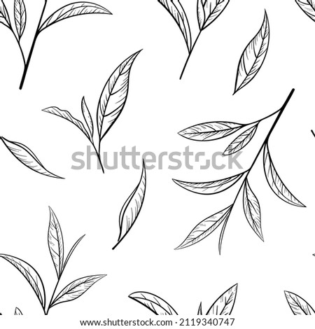 Green tea leaf hand drawn seamless pattern. Sketch tea organic food and drink. Vector illustration, seamless pattern on white background. Plant leaves for printing and design