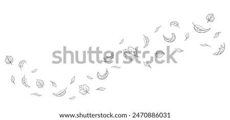 Leaves fall set in doodle style, vector illustration. Wave cold air during windy weather. Maple leaf outline for print and design. Isolated black element on a white background. Autumn symbol nature