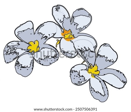 
image of three lilies in white and gray tones with a black outline on a white background, vector created in Gimp