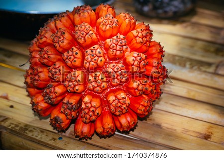 pandanus tectorius -- big spiky orange fruit found near beaches in tropical countries Stok fotoğraf © 