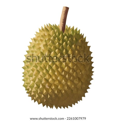 Durian King of Fruits Isolated Detailed Hand Drawn Painting Illustration