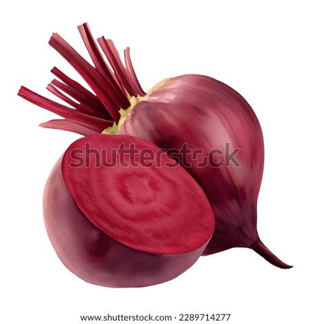 A Whole and Half Beetroot Isolated Hand Drawn Painting Illustration