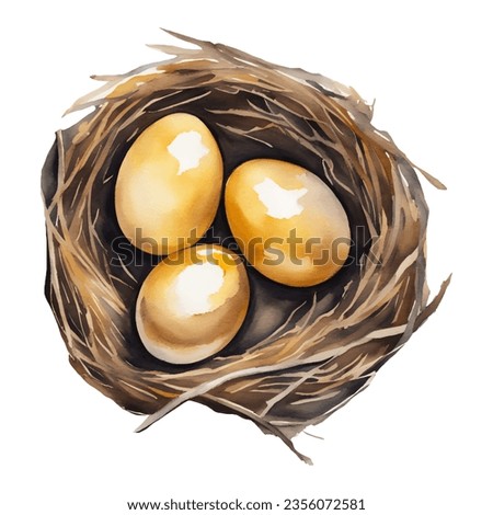 Golden Eggs in The Nest Top View Isolated Hand Drawn Watercolor Painting Illustration