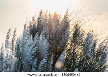 Shutterstock Puzzlepix