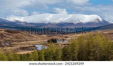 Similar – Image, Stock Photo Shire Nature Landscape Sky