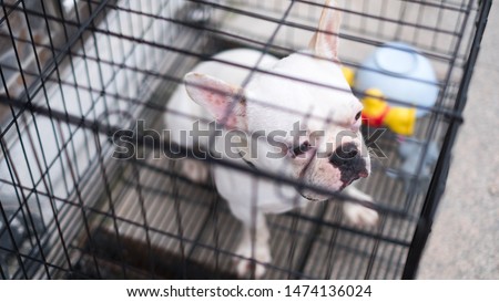 Similar – Image, Stock Photo He sat outside the door, looked at his hands and wondered if he had washed them thoroughly.