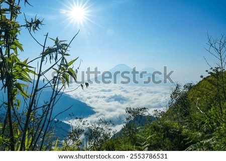 Similar – Foto Bild Oktoberliche Morgenstimmung im Wald