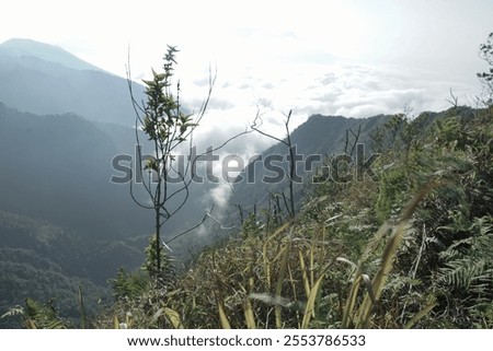 Similar – Foto Bild Oktoberliche Morgenstimmung im Wald