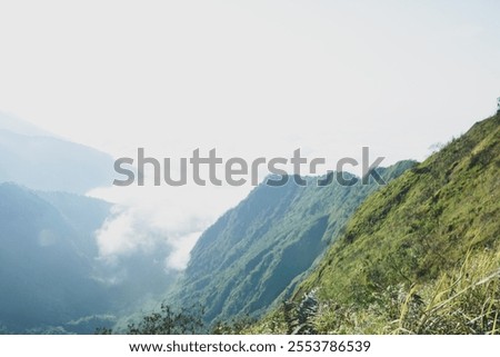 Similar – Foto Bild Oktoberliche Morgenstimmung im Wald