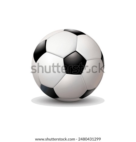 Vector soccer ball. Realistic soccer balls.