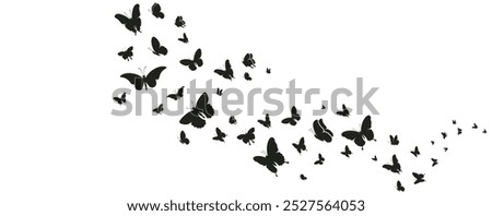 Butterflies silhouette flying on white background. Vector illustration set