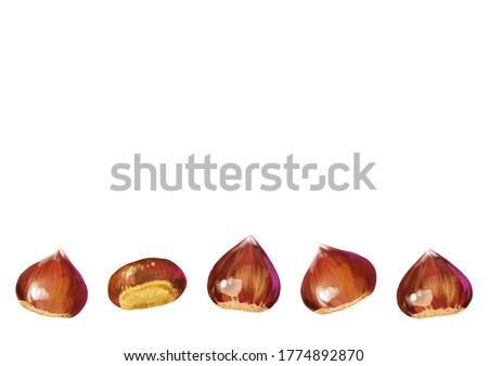 Isolated vector illustration of a few scattered chestnuts. Open chestnut prickles. Hand painted watercolor background. Concept for autumn.