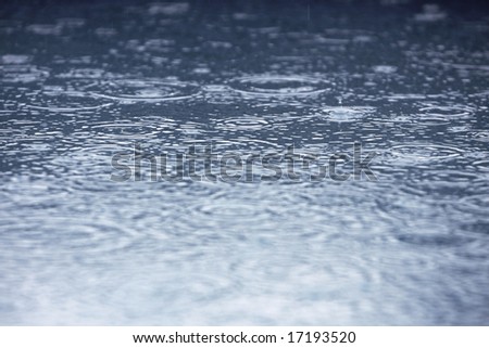 rain drops in a puddle creating ripples