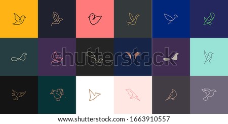 Set of Bird logo colorful with illustration