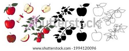 Similar – Image, Stock Photo Apple branches apples