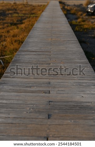 Similar – Image, Stock Photo Wooden path leading through the swamp and forest in a natural park