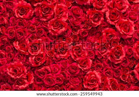 Rose are red,there are make from the fabric.(artificial rose)