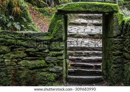 Remains of a wet and mossy ancient entrance, illuminated by faint sunlight and through which stairs can be seen.