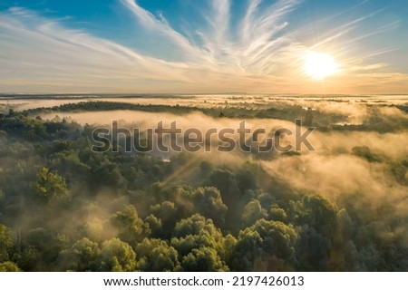 Similar – Image, Stock Photo Morning mist Morning fog