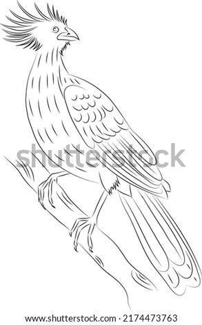 Hoatzin Bird clip art, black and white, simple bird drawing, kids drawing, vector clipart
