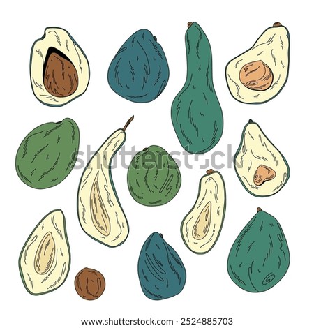 Large set of vector avocado whole and cut fruits on white, hass, etinger, pinkerton, nabal, fuerto