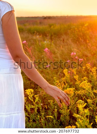 Young woman hand in field on sunset