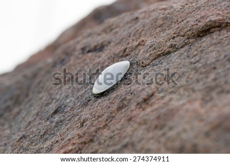 granite object stone people single  concepts nature