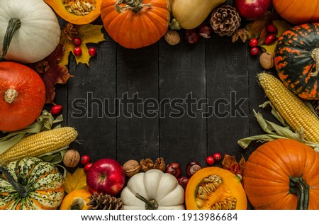 Autumn flat lay composition, with copy space on wooden background. Variety of edible and decorative gourds and pumpkins, rosehips, walnuts, cones, apples, kaki fruit, chestnuts and corn on the cob. Photo stock © 