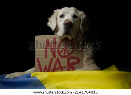 Similar – Image, Stock Photo Ukraine War Protests