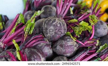 Similar – Image, Stock Photo Fresh bio harvest red currant