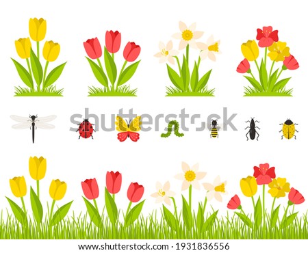 Garden spring flowers. A bush of tulips, daffodils, poppies. Flowers in the grass, meadow. Collection of insects. Botanical design elements in a cartoon flat style, isolated on a white background